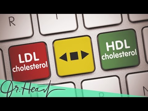 Cholesterin - HDL und LDL | Dr.Heart