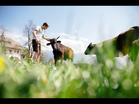 Wagyu Südtirol Alto Adige