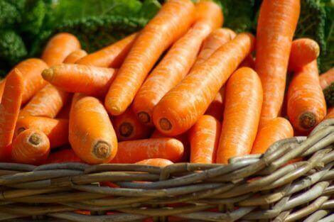 Essen für die Augen - Möhren, Karotten