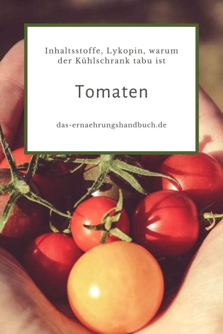 Tomaten: Inhaltsstoffe, Lykopin und warum der Kühlschrank tabu ist