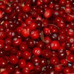 Foto: <a href="https://pixabay.com/en/cranberries-berry-red-fruit-autumn-957583/" target="_blank" rel="nofollow noopener"> Alexei Hulsov / pixabay.com</a> Cranberrys