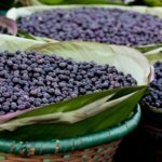 Acai-Beeren