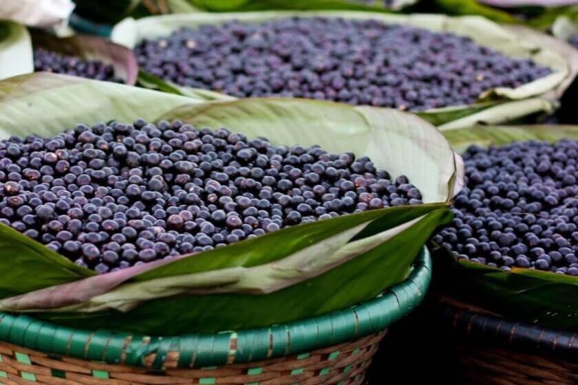 Acai-Beeren
