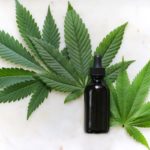 CBD Öl