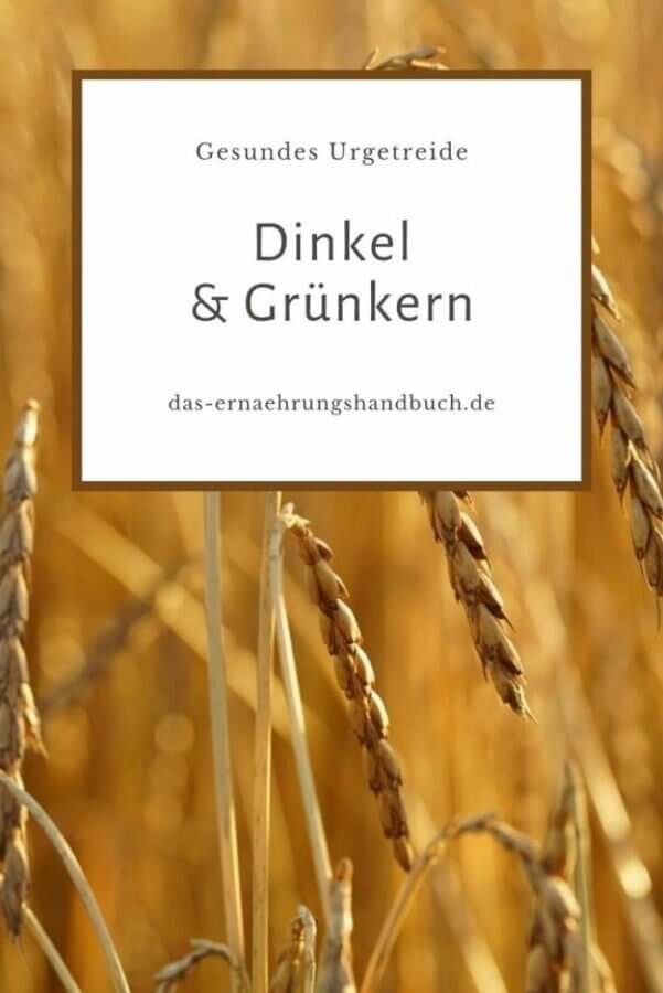 Dinkel und Grünkern – gesundes Urgetreide Dinkel und Grünkern – gesundes Urgetreide