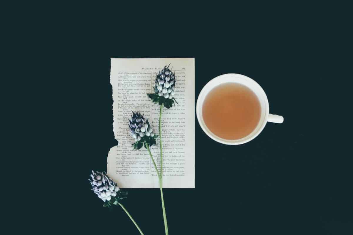 Tee / Teetasse aus weißer Keramik neben weißen Blüten