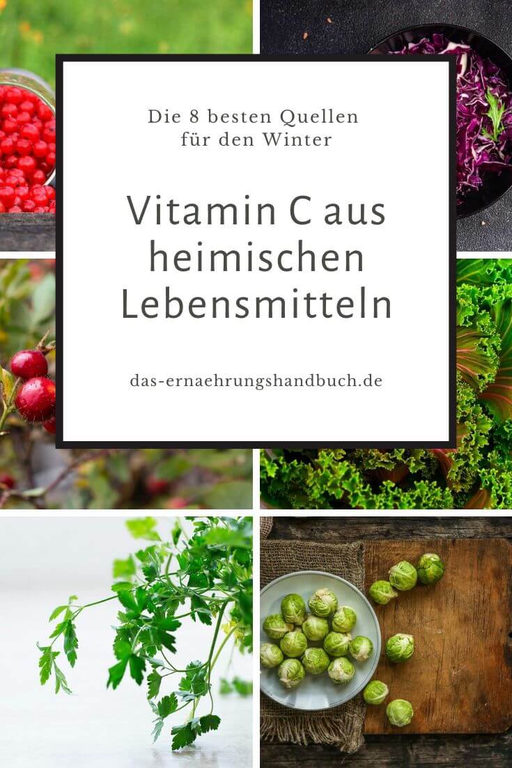 Vitamin C aus heimischen Lebensmitteln: Die 8 besten Quellen für den Winter Vitamin-C-Bomben