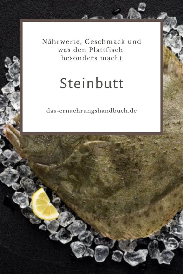 Steinbutt