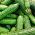 Foto: <a href="https://unsplash.com/photos/2GiRcLP_jkI" target="_blank" rel="noopener">Harshal S. Hirve / unsplash.com</a> Gurke, Salatgurke