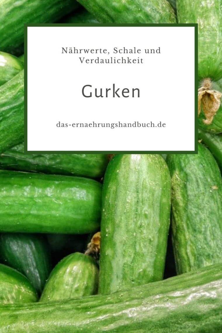 Gurke, Salatgurke