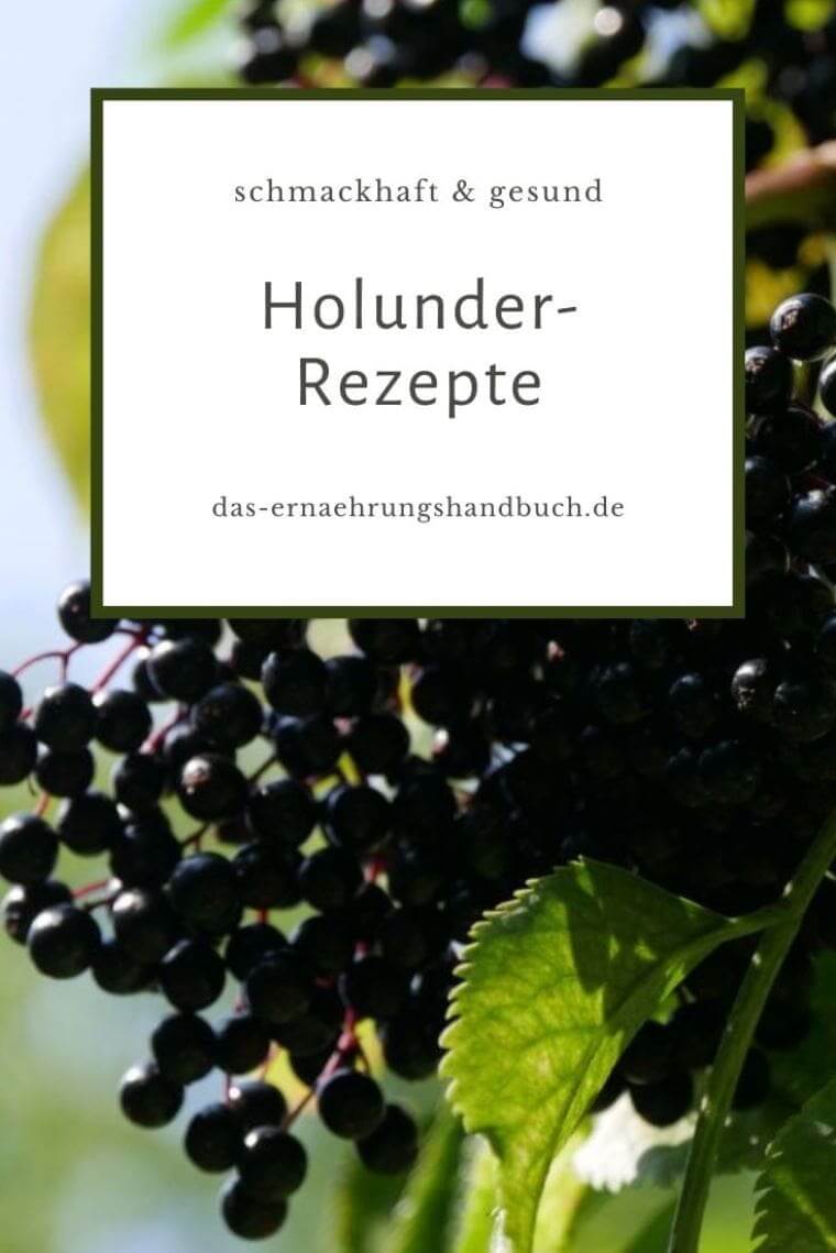 Holunder-Rezepte