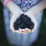 Brombeeren