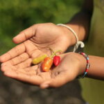 Superfood September Chili Superfoods