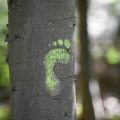 Ökologischer Fußabdruck (green footprint on a tree trunk)