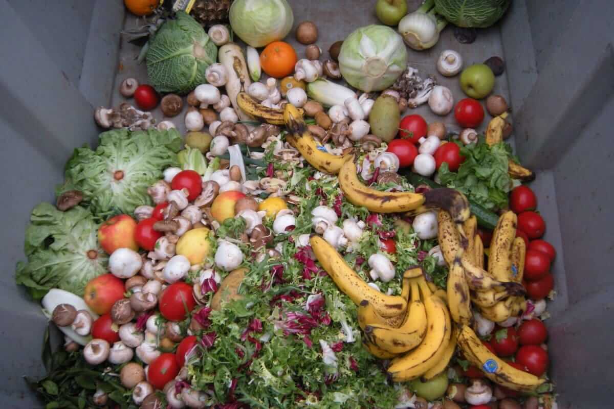 Lebensmittelverschwendung reduzieren (Haufen Lebensmittel im Müll)