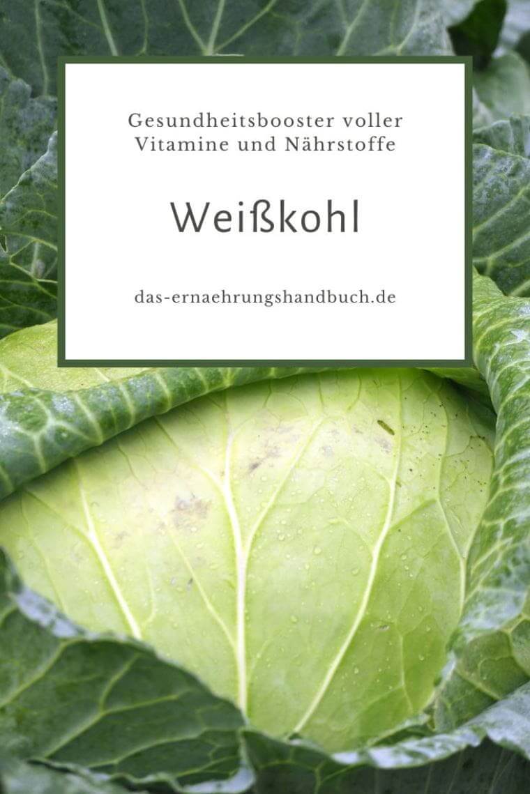 Weißkohl