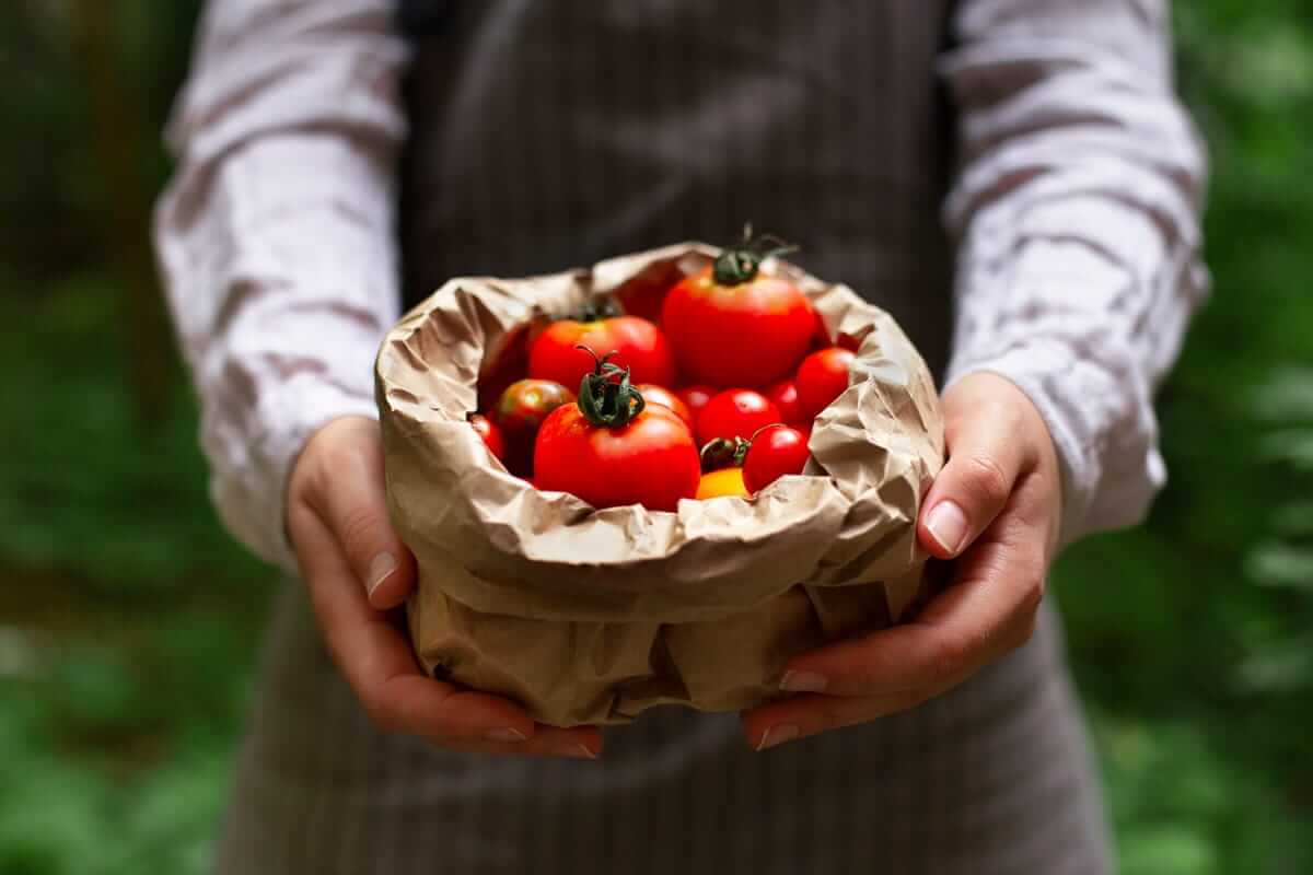 Zero-Waste, Tomaten (Man holds organic and fresh tomatoes in eco bag)