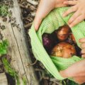 nachhaltige Ernährungstrends, Nachhaltigkeit (Person, die grüne und braune Früchte hält)