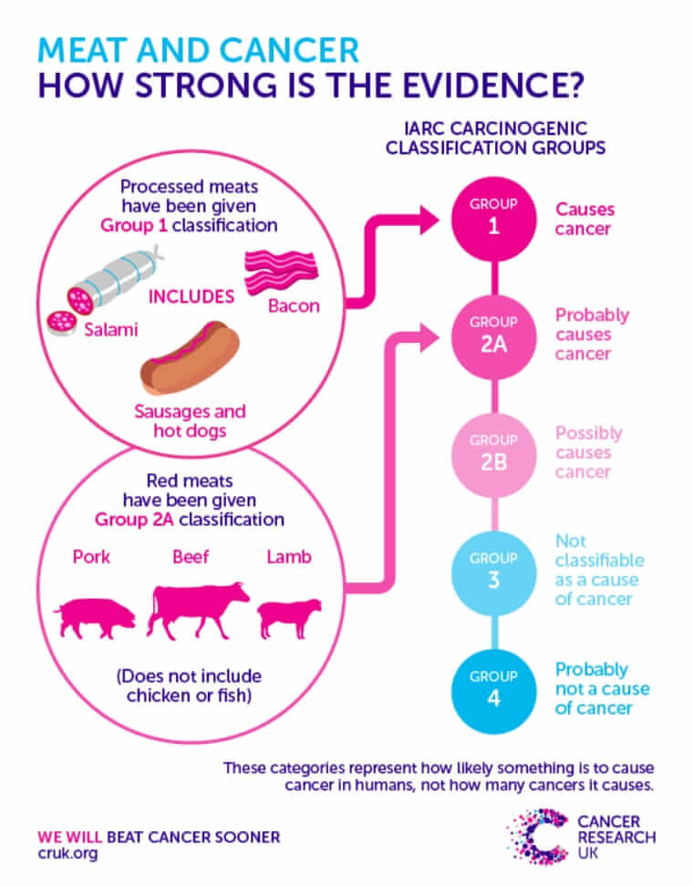 Meat and Cander - How strong is the evidence?