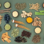 Adaptogene Ernährung / Verschiedene Adaptogene und Superfoods, darunter Ginseng, Ingwer, Kurkuma, Aloe Vera, Kräuter und Beeren, kunstvoll auf grünem Hintergrund arrangiert.