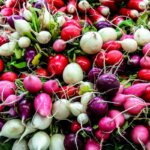 Foto: <a href="https://unsplash.com/de/fotos/bund-weisser-roter-und-violetter-radieschen-B4y0dFOq510" target="_blank" rel="noopener">philippe collard / unsplash.com</a> Radieschen (Bunte Mischung aus verschiedenen Radieschensorten in Rot, Weiß, Rosa und Violett mit frischem Grün – Vielfalt der Frühlingsknollen auf einen Blick.)