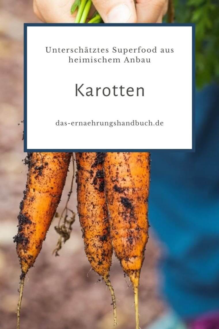 Karotten – das unterschätzte Superfood aus heimischem Anbau Karotten / Möhren