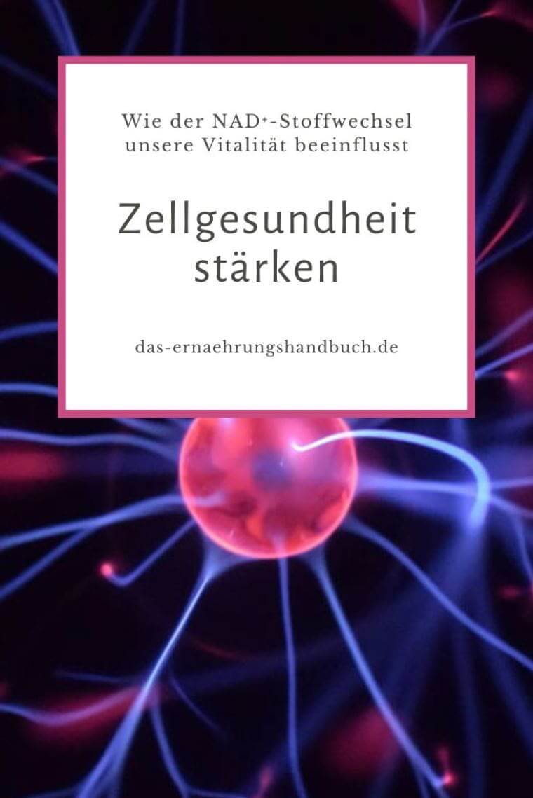 Zellgesundheit stärken: Wie der NAD⁺-Stoffwechsel unsere Vitalität beeinflusst Zellgesundheit