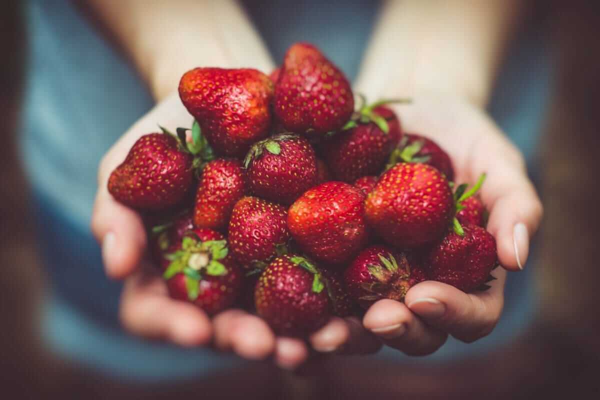 Vom Biohof bis zur Küche – was nachhaltige Lieferketten wirklich bedeuten Nachhaltige Lieferketten / Zwei Hände halten frische Erdbeeren – Sinnbild für regionale Ernte, kurze Lieferketten und bewussten Umgang mit Lebensmitteln.