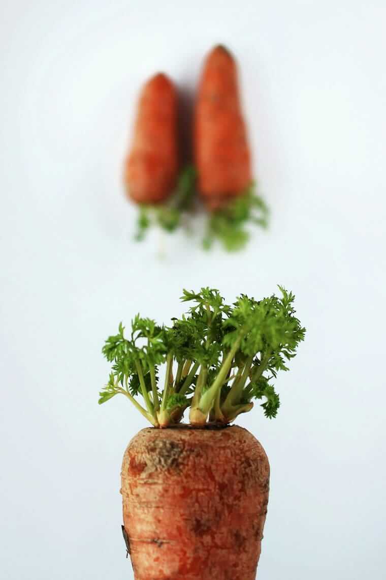Textur statt Superfood: Warum Konsistenz beim Essen wichtiger wird Karotte frontal, weitere Karotten unscharf im Hintergrund