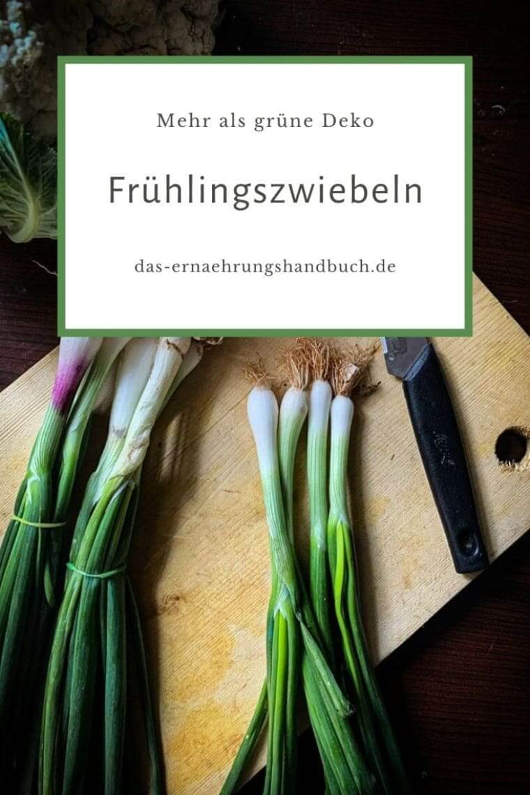 Frühlingszwiebeln: Mehr als grüne Deko Frühlingszwiebeln