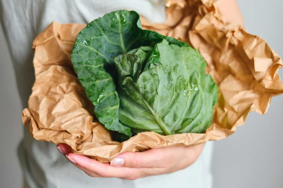 einfache Gemüsesorten / Frischer Kohl in brauner Papiertüte – nachhaltig einkaufen ohne Plastikverpackung