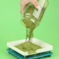 Füllstoffe / Hand schüttet grünes Pulver aus einem Glasgefäß auf eine Kapselabfüllform – Herstellung von Nahrungsergänzungsmitteln in Pulverform.