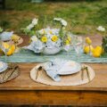 Gedeckter Gartentisch mit Zitronen, Blumendeko und Stoffservietten für eine Catering-Feier im Freien