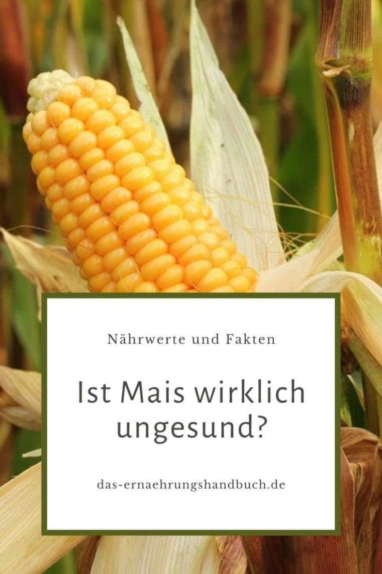 Ist Mais wirklich ungesund? Nährwerte und Fakten Mais