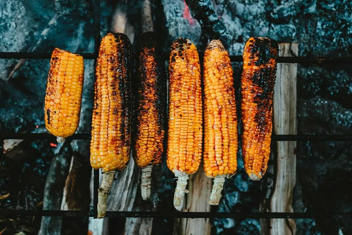 Ist Mais wirklich ungesund? Nährwerte und Fakten Mehrere Maiskolben werden auf dem Grill geröstet