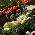 Saisonalität ohne Kalender / Bunte Gemüsekisten mit Tomaten, Avocado und Grünkohl im Sonnenlicht – vielfältiges regionales Angebot