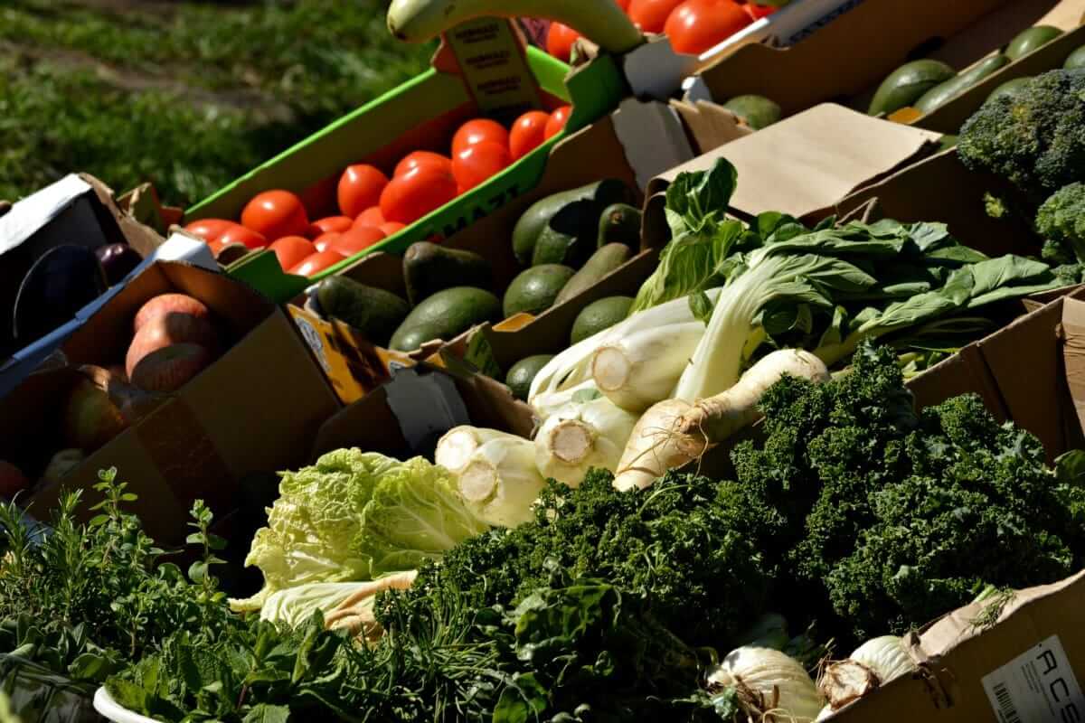 Saisonalität ohne Kalender / Bunte Gemüsekisten mit Tomaten, Avocado und Grünkohl im Sonnenlicht – vielfältiges regionales Angebot