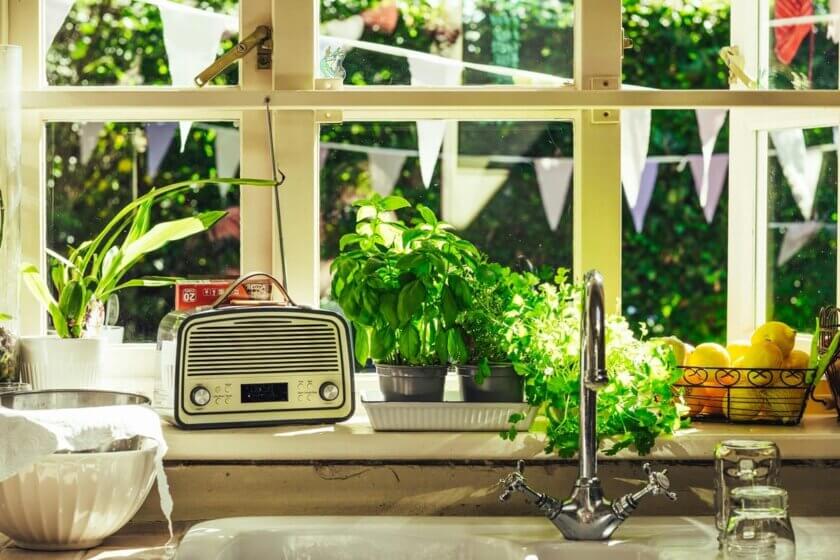 Frische Kräuter im Topf auf Küchenfensterbank mit Sommerlicht – richtig aufbewahren für längere Haltbarkeit
