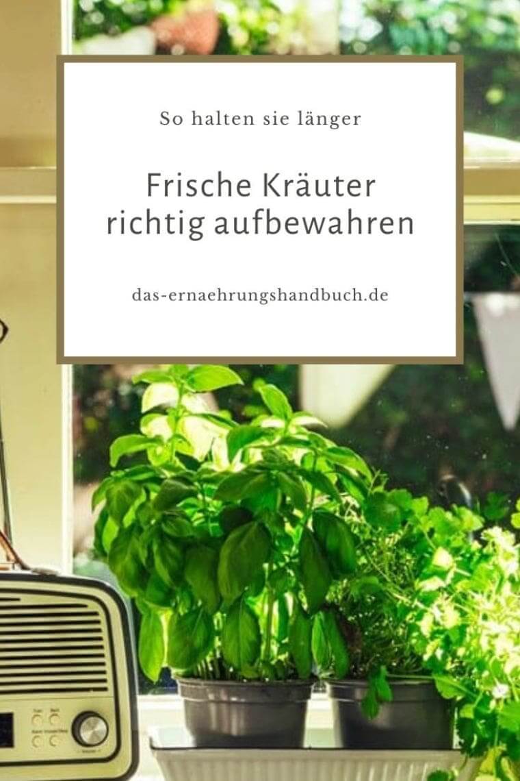 Frische Kräuter richtig aufbewahren