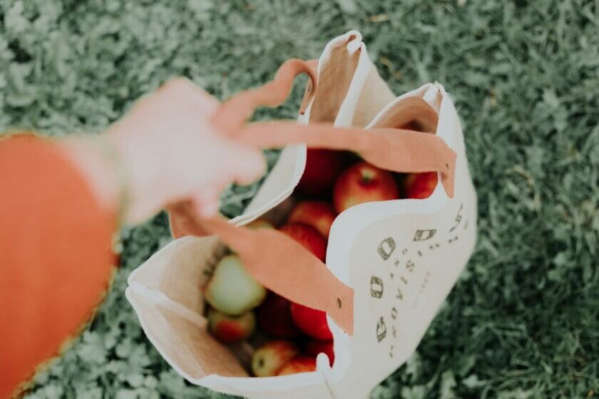 Ressourcenschonung / Hand hält eine Stofftasche mit roten Äpfeln auf einer Wiese