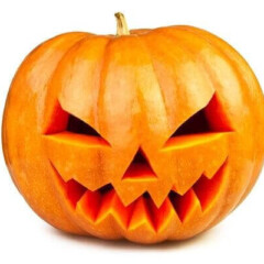 Halloween-Kürbis: <a href="https://www.shutterstock.com/de/image-photo/pumpkin-halloween-jack-olantern-isolated-white-116226802" target="_blank" rel="noopener">bergamont / shutterstock.com</a> Halloween-Kürbis