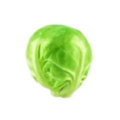 Foto: <a href="https://www.shutterstock.com/de/pic-169267349/stock-photo-close-up-of-raw-brussel-sprout.html" target="_blank" rel="noopener">Kalin Eftimov / shutterstock.com</a> Rosenkohl