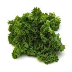 Foto: <a href="https://www.shutterstock.com/de/pic-274863374/stock-photo-green-leafy-kale-vegetable-isolated-on-white-studio-background.html" target="_blank" rel="noopener">Tiger Images / shutterstock.com</a> Grünkohl