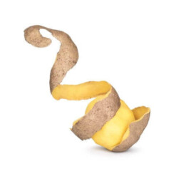 Foto: <a href="https://www.shutterstock.com/de/pic-330044798/stock-photo-potatoes-with-peel-isolated-on-white-background.html" target="_blank" rel="noopener">urfin / shutterstock.com</a> Kartoffel