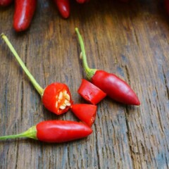 Foto:Â <a href="https://unsplash.com/photos/eVINbDavN8c" target="_blank" rel="noopener">Thomas Klee / shutterstock.com</a> Chili