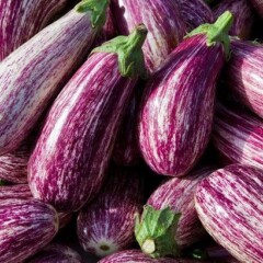 Foto: <a href="https://www.stockunlimited.com/image/aubergines-in-murcia-spain_1915114.html" target="_blank" rel="nofollow noopener">stockunlimited.com</a> Aubergine