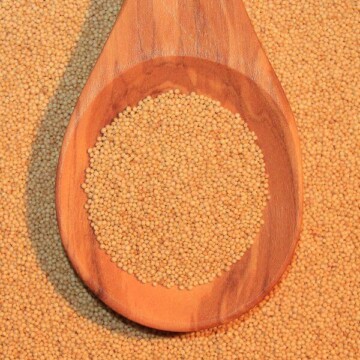 Von User:Niedereschbach - Eigenes Werk, <a title="Creative Commons Attribution-Share Alike 3.0" href="https://creativecommons.org/licenses/by-sa/3.0" target="_blank" rel="nofollow noopener noreferrer">CC BY-SA 3.0</a>, <a href="https://commons.wikimedia.org/w/index.php?curid=24320611" target="_blank" rel="nofollow noopener noreferrer">Link</a> Amaranth-Korn